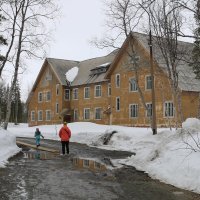 Прогулки по батаническому саду :: Ольга 