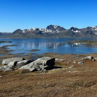 Лето в Северном Ледовитом океане /Норвегия/...Ein Sommer im Nordpolarmeer / Norwegen / :: "The Natural World" Александер