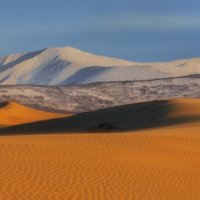 Пустынные волны :: Дмитрий Шишкин