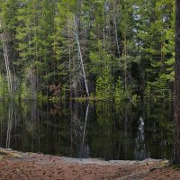 вода по-прежнему всё прибывает... :: Татьяна .