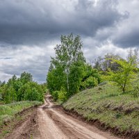 Эх, дороги... :: Сергей Шевкопляс