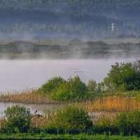 утренний пейзаж :: Николай Соколухин