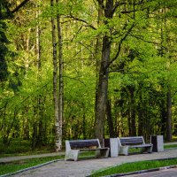 Городская зарисовка :: Владимир Кроливец