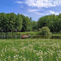 Проплывая по Ижоре... :: Мария Васильева