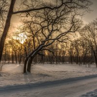 Парк Александрия :: Ярослав Трубников 