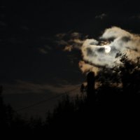Ночь, луна, фонарь...) :: Vera Hloponina