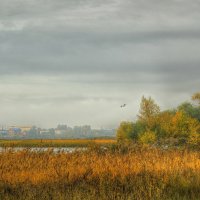 Осень в городе :: Олег Сонин