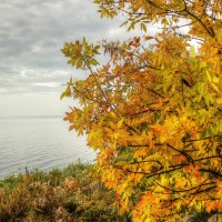 Осень - красивая пора :: Олег Сонин