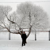 Вот что такое настоящая русская зима! :: Борис Русаков