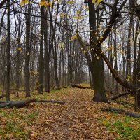 Дух заброшенности :: Екатерина Т.