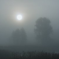 Сквозь густой туман :: Олег Самотохин