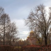 Ноябрь :: Anastasya Udacha Sosnovaya