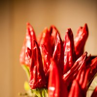 Red Hot Peppers :: Сергей Боровков