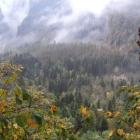 В горах Абхазии :: Ninon 