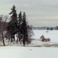 Панорама парка Александрия зимой :: Ярослав Трубников 