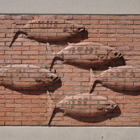 Fishwall :: Алексей 