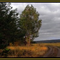 осень :: Виктор 