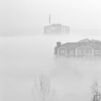 и туман бывает красивым) :: Анастасия Матвиец