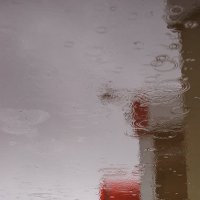 дождь :: лена нова