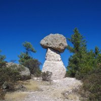Каменный грибочек. :: unix (Илья Утропов)