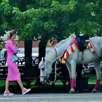 Поехали красавица кататься... :: Николай Саржанов