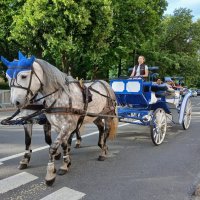 Гужевое движение. :: Лия ☼