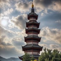 Китайская пагода :: Анатолий Клепешнёв