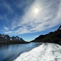 Лето в Северном Ледовитом океане /Норвегия/...Ein Sommer im Nordpolarmeer / Norwegen / :: "The Natural World" Александер