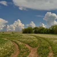 Налево. На распутье :: Роман Пацкевич