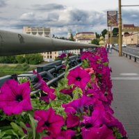 Прогулялись мы по Гродно :: Валерий Чернов