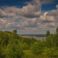 "Водолеевский заказник в июне"© :: Владимир Макаров