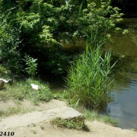 В ростовском зоопарке :: Нина Бутко