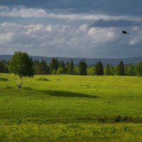 * :: Александр Иванов