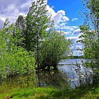 Июнь...Полая вода затопила правый берег протоки Чеускина. :: Владимир 