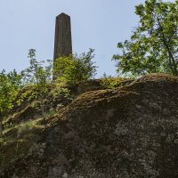 В парке Монрепо :: Ирина Соловьёва