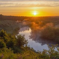 утро задалось :: Виталий Емельянов