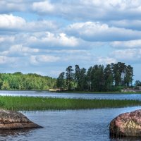 Парк Монрепо. :: Владимир Безбородов