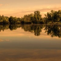 Нежное утро :: Андроник Александр 