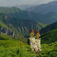 ДОЛИНА КУЛАСЬИ, всё выше. :: Виктор Осипчук