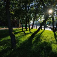 А у нас во дворе :: Андрей Лукьянов