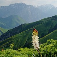 ДОЛИНА КУЛОССЬИ. :: Виктор Осипчук