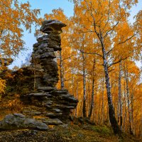 Вечереет в сентябрьском лесу. :: Юрий кот