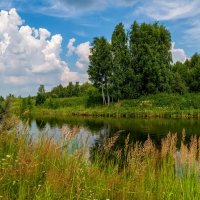 Жаркое июньское утро :: Андрей Дворников