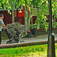 Июль...Наводим порядок в городе! :: Владимир 