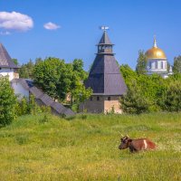 **** :: Елизавета .