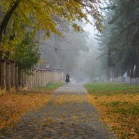 Осенняя прогулка...... :: Юрий Цыплятников