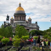 ЗЕЛЕНЬ :: Сергей Янович Микк