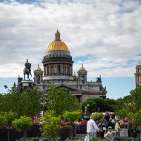 ЗЕЛЕНКА :: Сергей Янович Микк