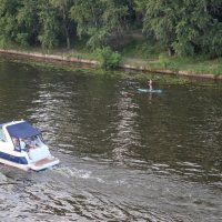 из жизни водоплавающих :: Дмитрий И_