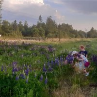 Сорвать цветочек и подарить маме! :: Нина Андронова